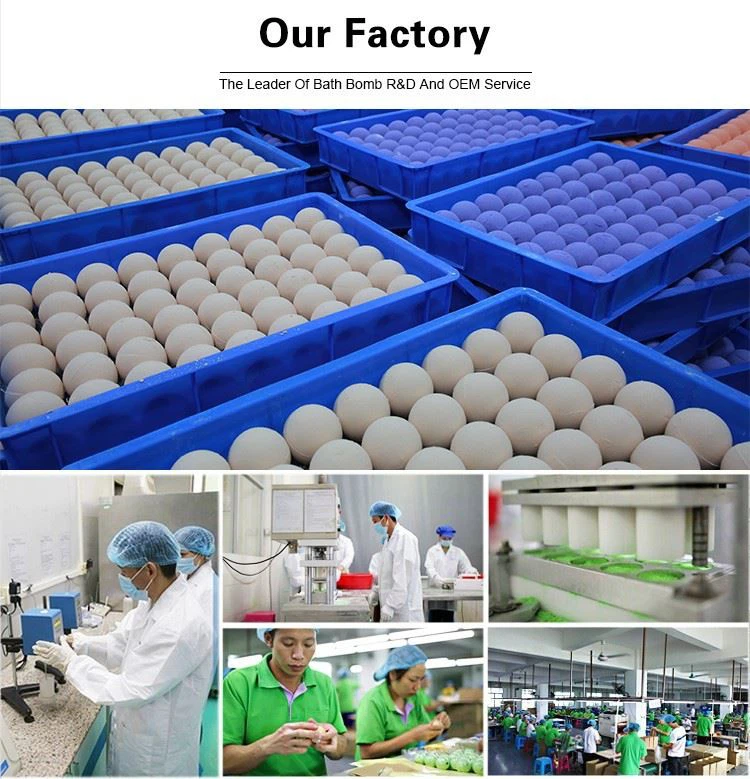 the bath bomb co the bath bomb co