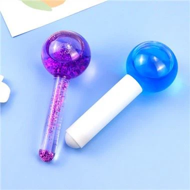 גלובוס קרח לפנים